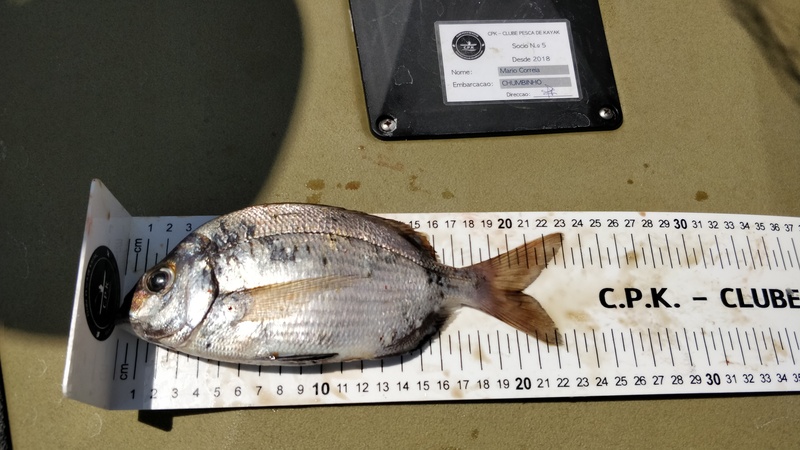 Fish Measure Picture