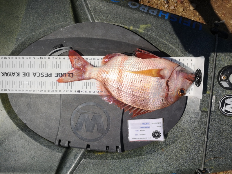 Fish Measure Picture