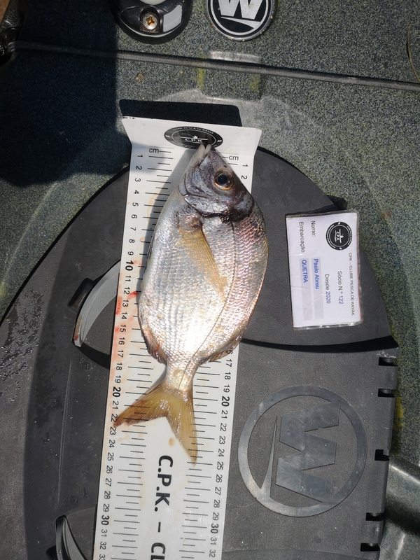 Fish Measure Picture