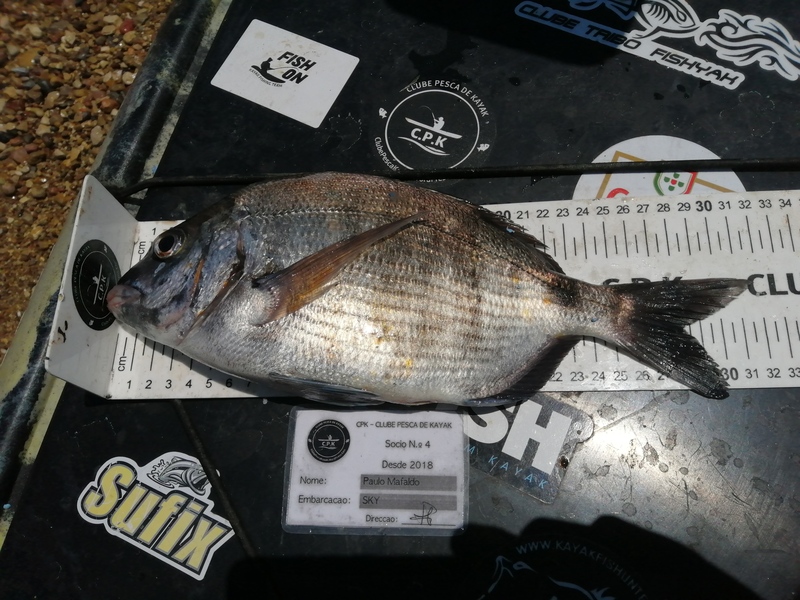 Fish Measure Picture