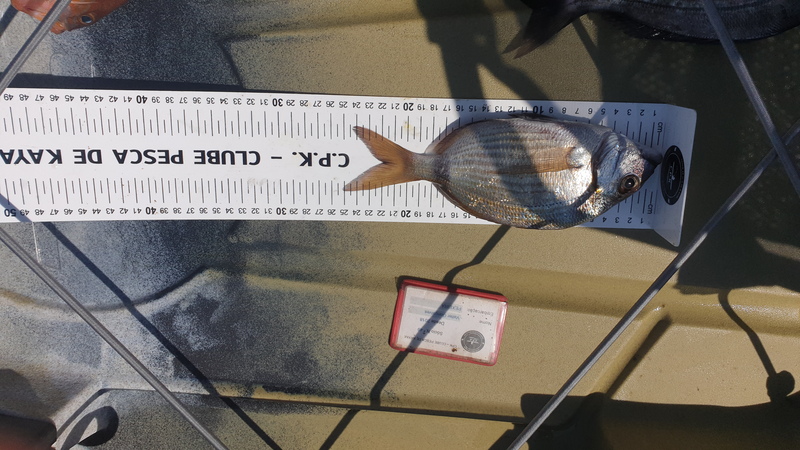 Fish Measure Picture