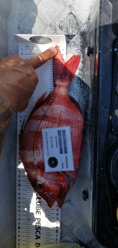 Fish Measure Picture