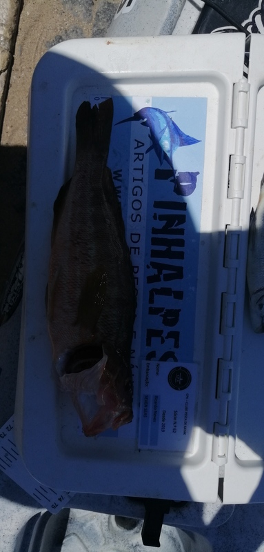 Fish Measure Picture