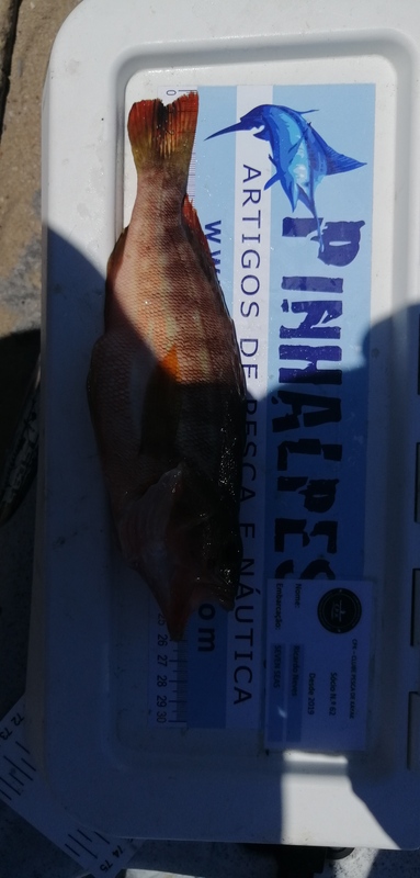 Fish Measure Picture