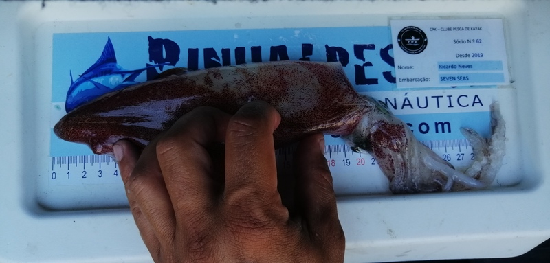 Fish Measure Picture