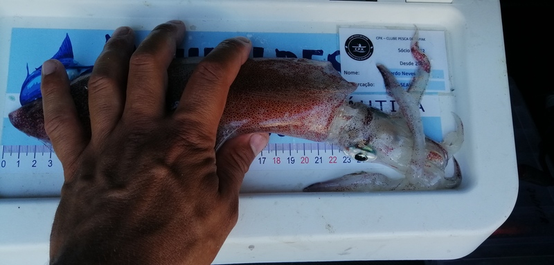 Fish Measure Picture