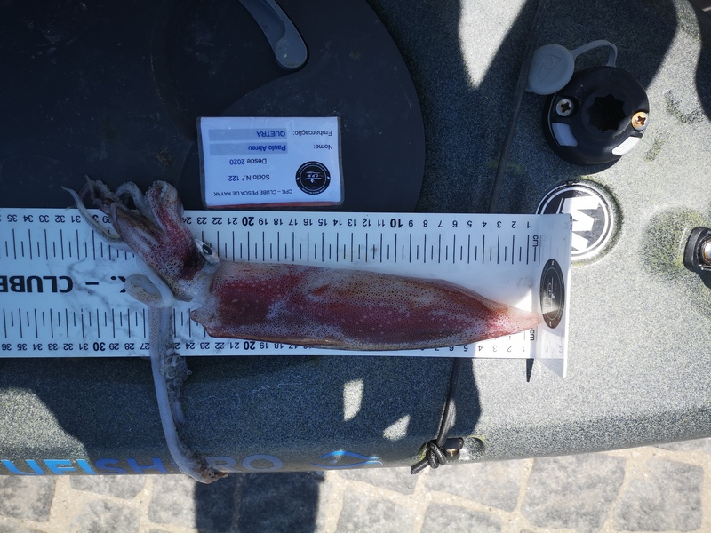 Fish Measure Picture