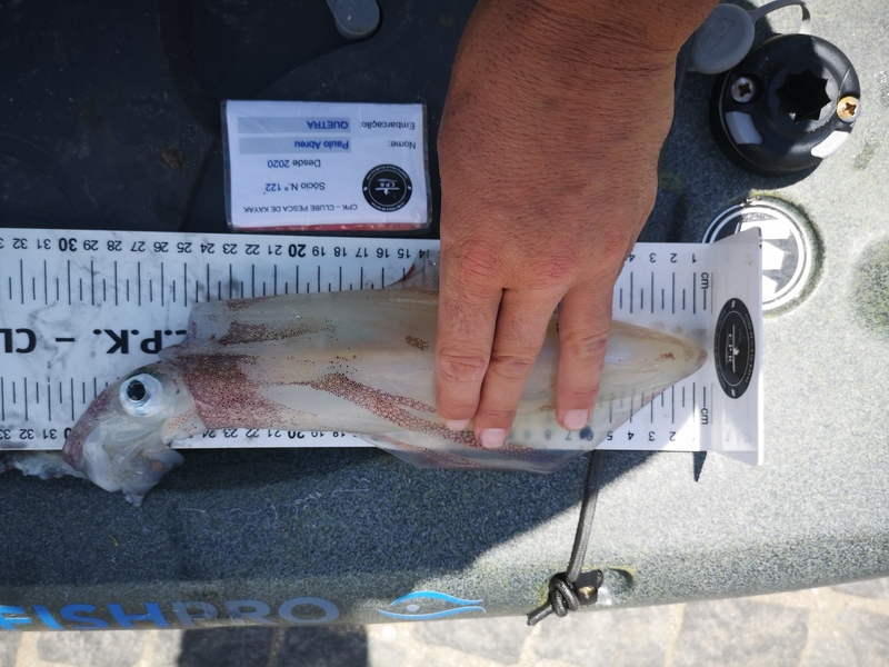 Fish Measure Picture