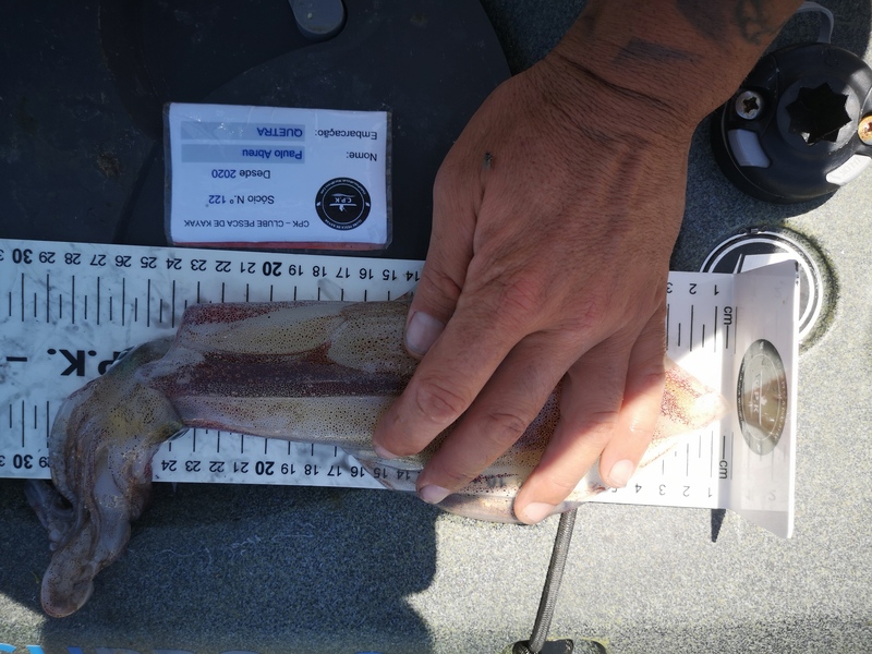 Fish Measure Picture