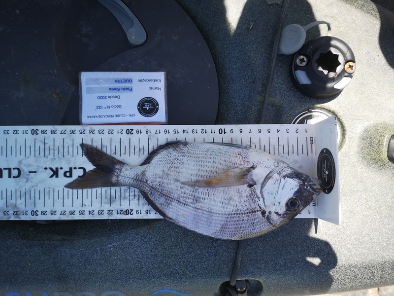 Fish Measure Picture