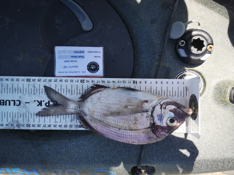 Fish Measure Picture