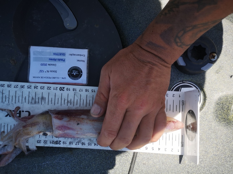 Fish Measure Picture