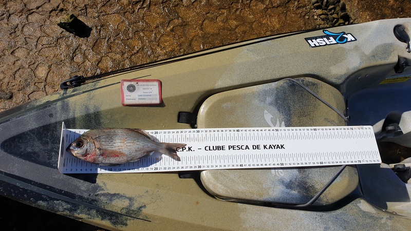 Fish Measure Picture