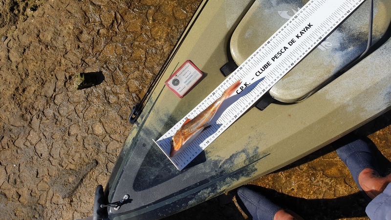 Fish Measure Picture