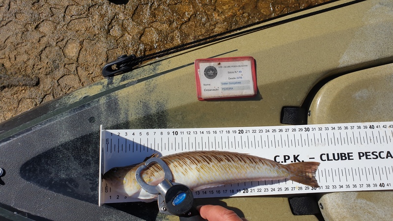 Fish Measure Picture