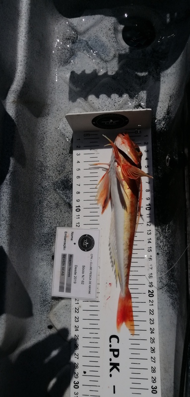 Fish Measure Picture