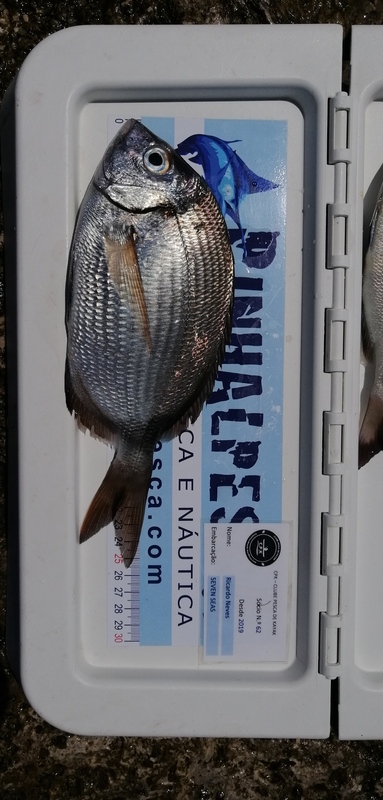 Fish Measure Picture