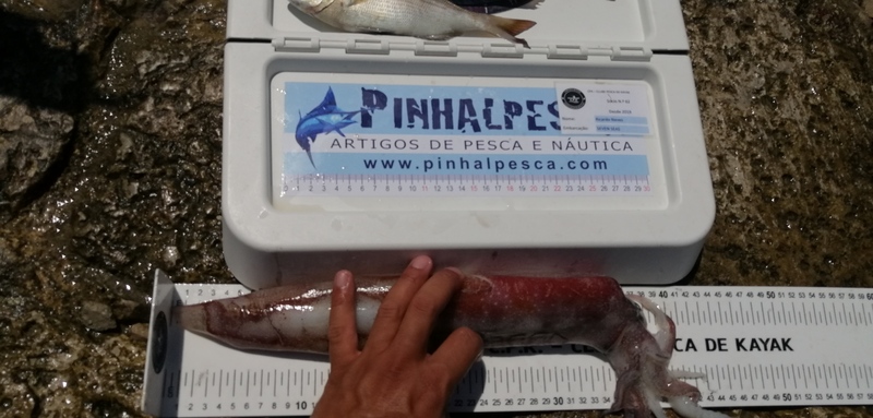Fish Measure Picture