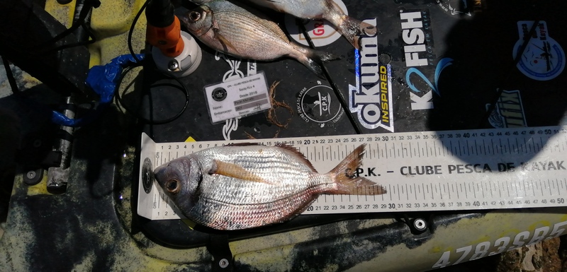 Fish Measure Picture