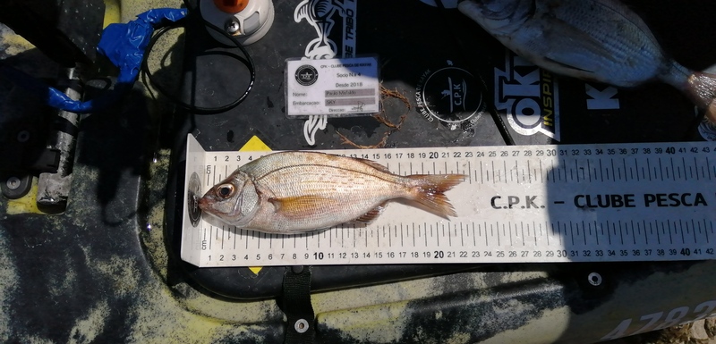Fish Measure Picture