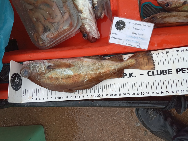 Fish Measure Picture