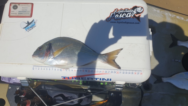 Fish Measure Picture