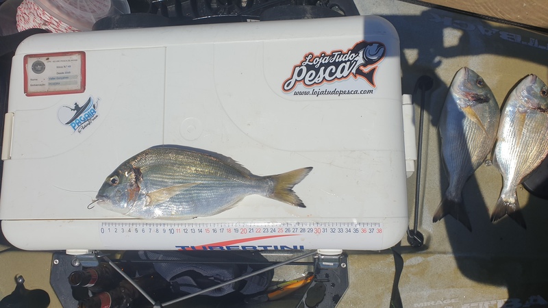 Fish Measure Picture