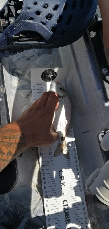 Fish Measure Picture