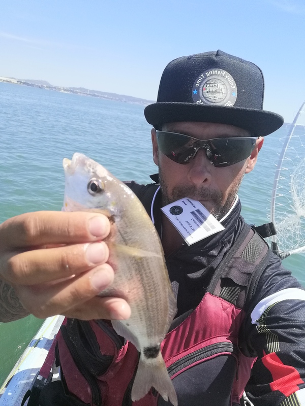 Fish Profile Picture