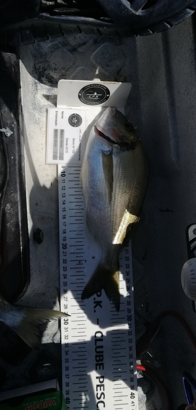 Fish Measure Picture