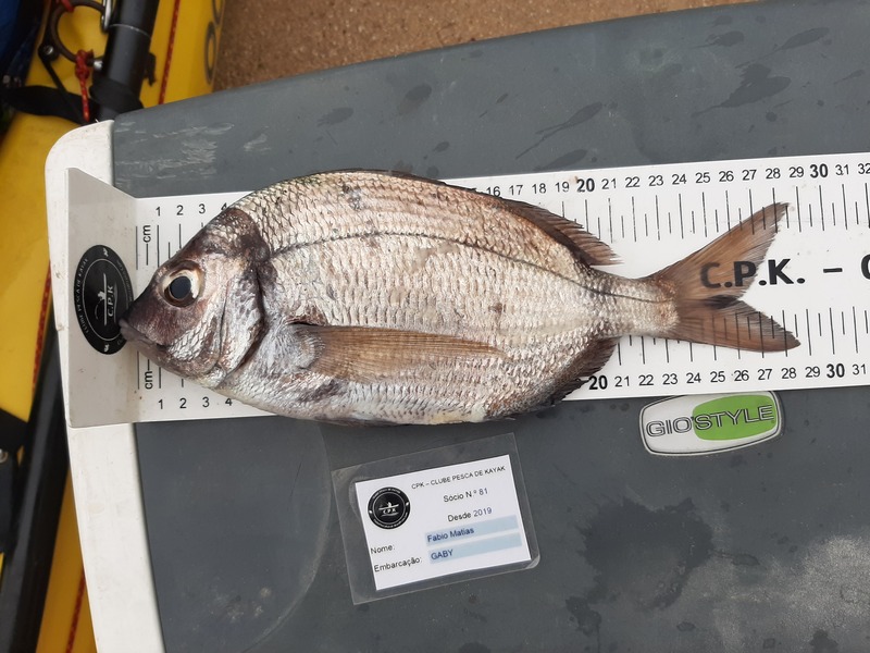 Fish Measure Picture