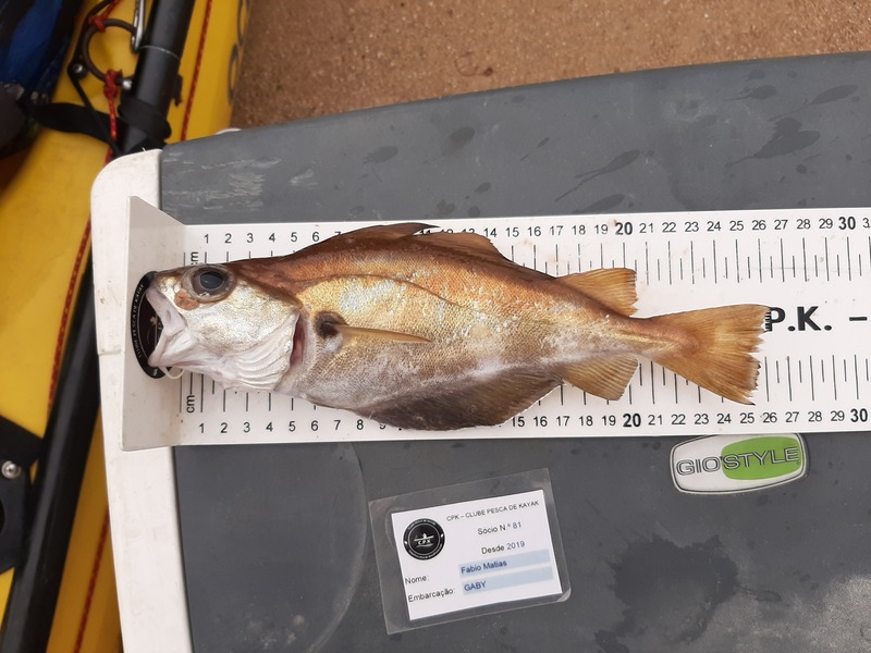Fish Measure Picture