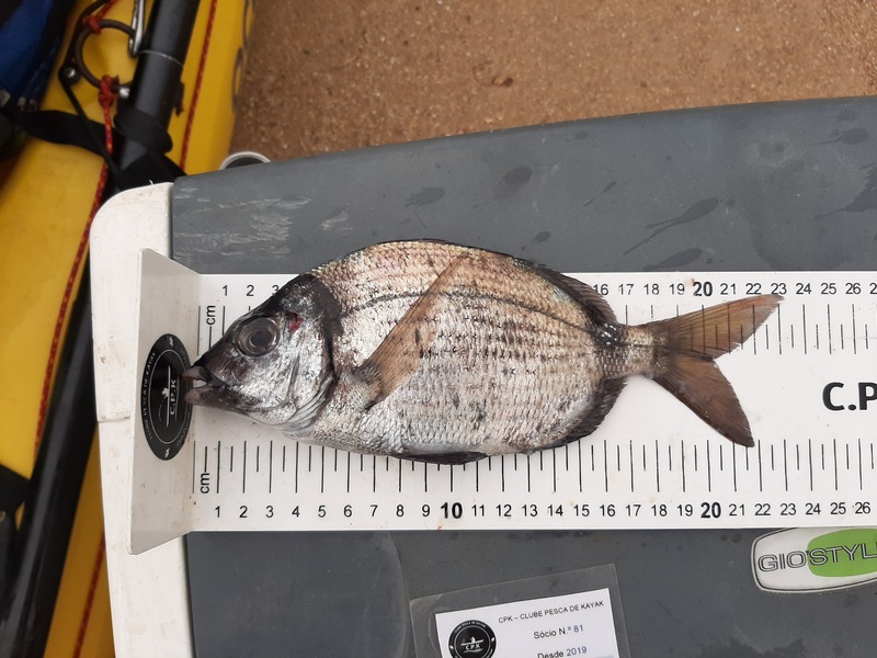 Fish Measure Picture