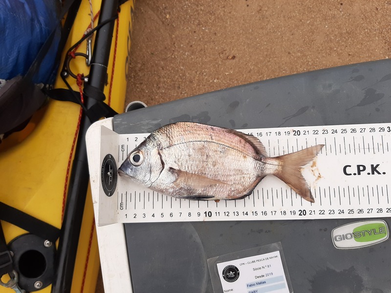 Fish Measure Picture