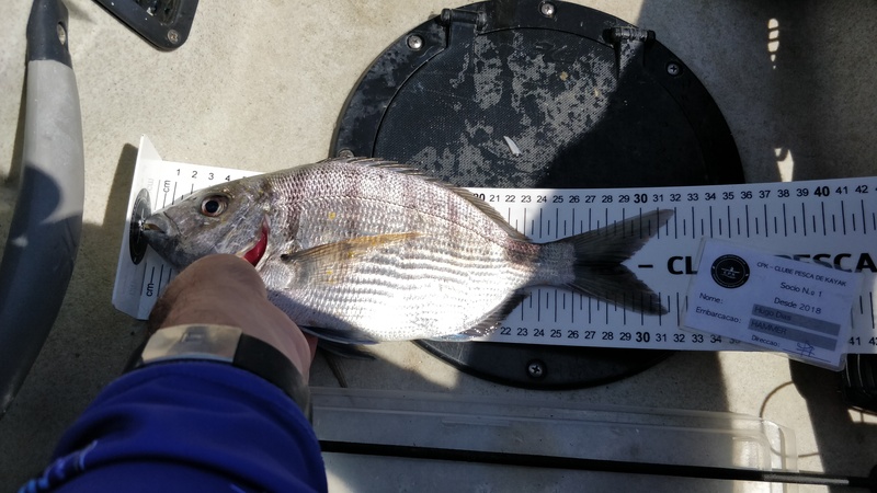 Fish Measure Picture