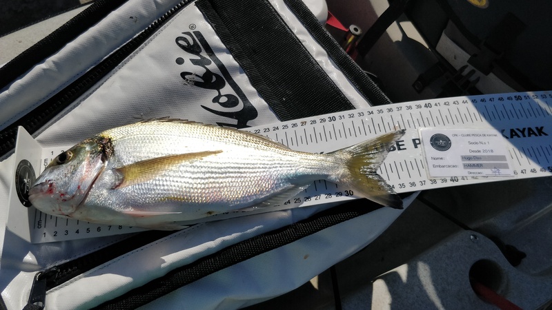 Fish Measure Picture