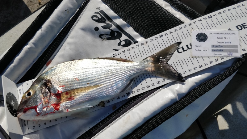 Fish Measure Picture
