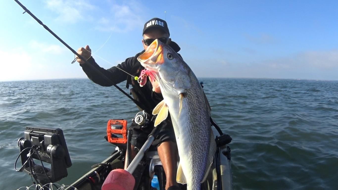 Fish Profile Picture