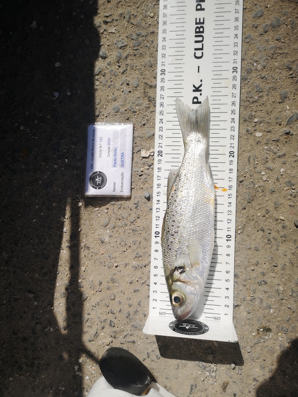 Fish Measure Picture