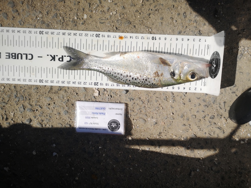 Fish Measure Picture