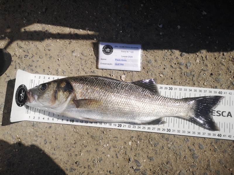 Fish Measure Picture