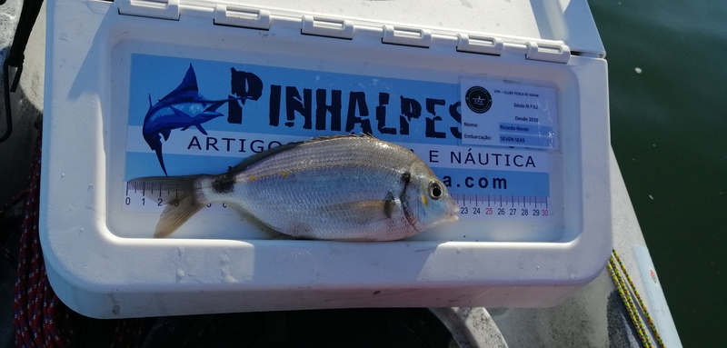 Fish Measure Picture