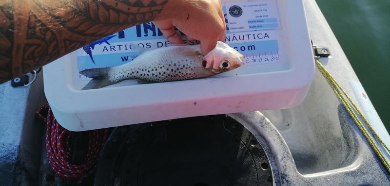 Fish Measure Picture
