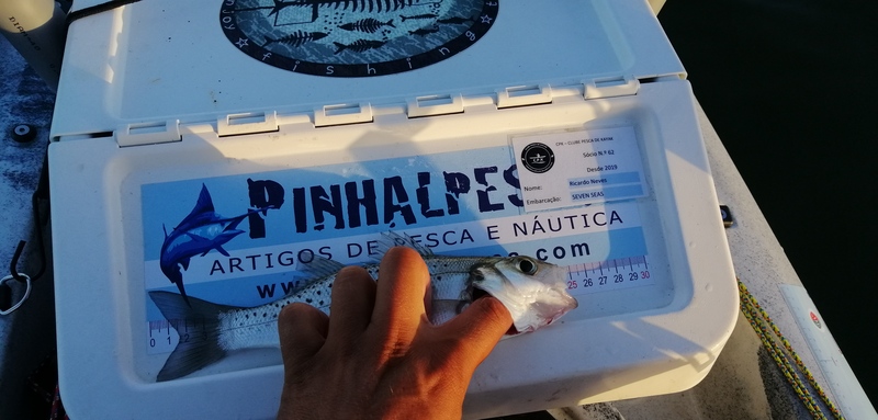 Fish Measure Picture