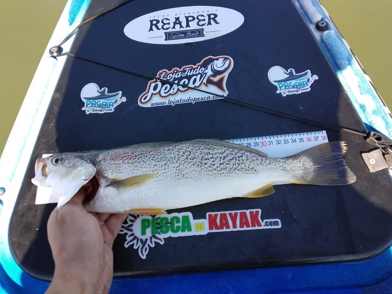 Fish Measure Picture
