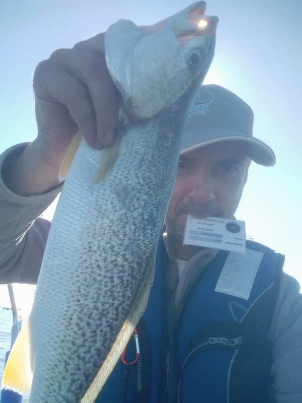 Fish Profile Picture