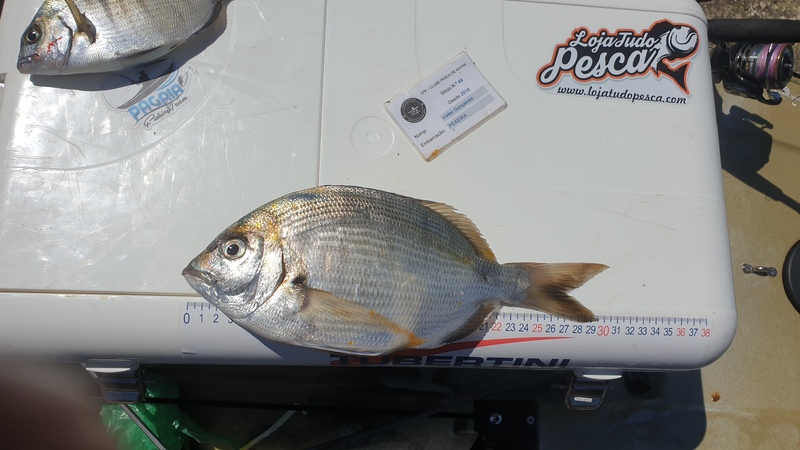 Fish Measure Picture