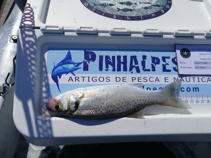 Fish Measure Picture