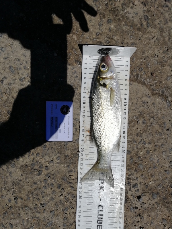 Fish Measure Picture