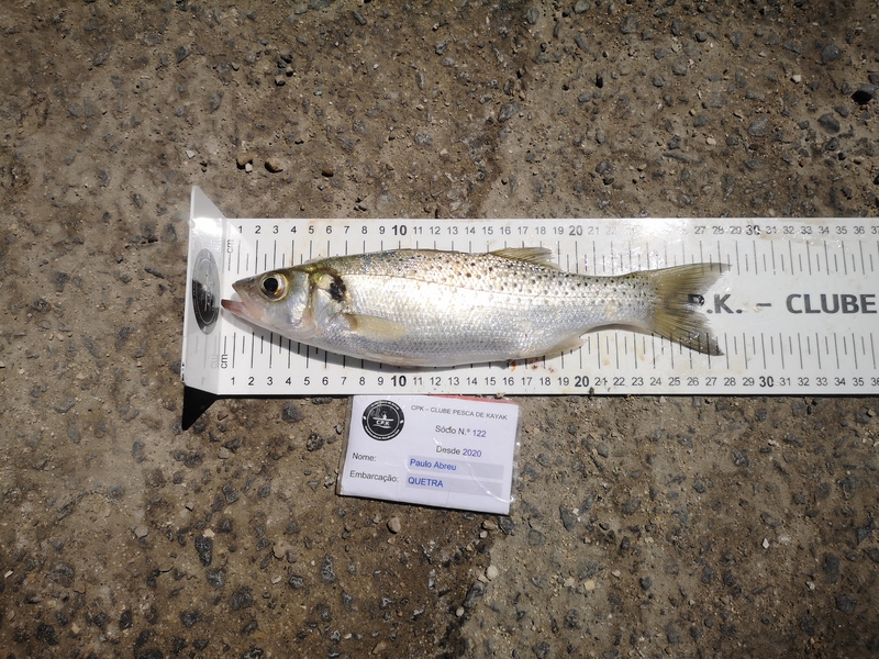 Fish Measure Picture